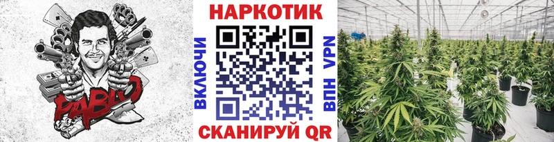 Где можно купить наркотики Фокино Кокаин  blacksprut рабочий сайт  МЕТАМФЕТАМИН  Гашиш  Меф мяу мяу  Бошки Шишки 
