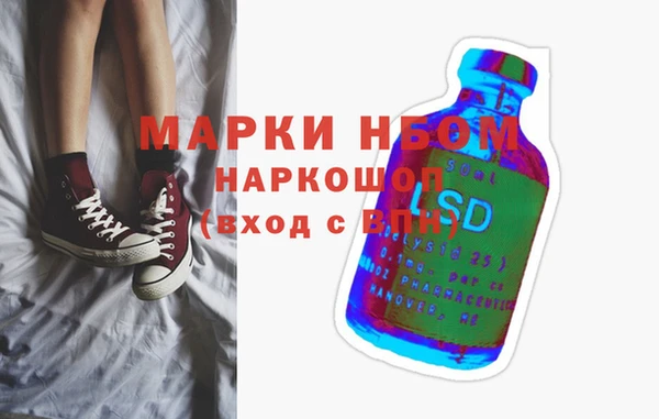ПСИЛОЦИБИНОВЫЕ ГРИБЫ Ельня