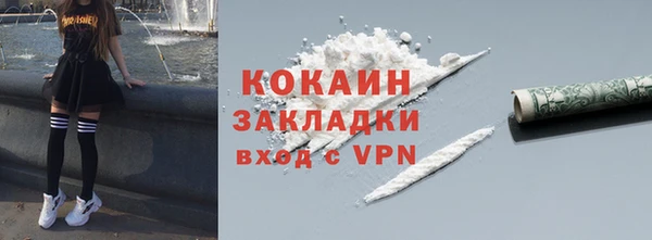 ПСИЛОЦИБИНОВЫЕ ГРИБЫ Ельня