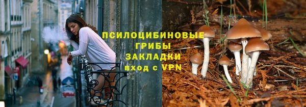 ПСИЛОЦИБИНОВЫЕ ГРИБЫ Ельня