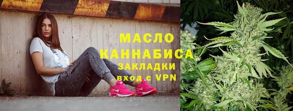 ПСИЛОЦИБИНОВЫЕ ГРИБЫ Ельня