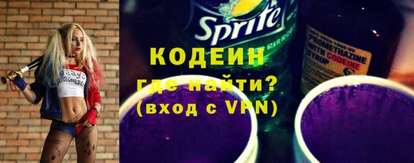 ПСИЛОЦИБИНОВЫЕ ГРИБЫ Ельня