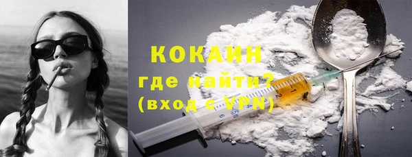 ПСИЛОЦИБИНОВЫЕ ГРИБЫ Ельня